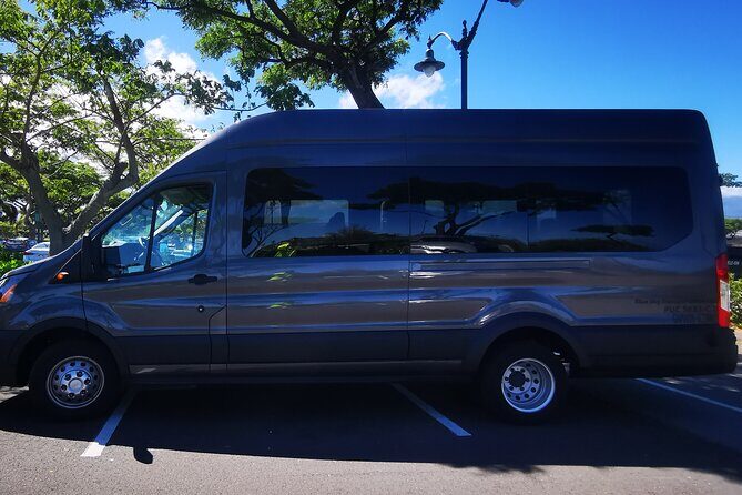 Private Transfer From Hotels in Kailua-Kona to Kona International Airport - Who Will Love This Transfer Service?