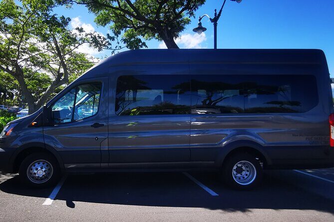 Private Transfer From Hotels in Waikoloa & Waimea to Kona International Airport - The Sum Up