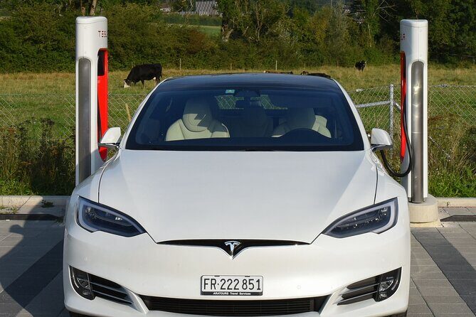 Private transfer from Interlaken to Zurich Airport - Authentic Traveler Feedback
