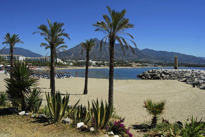 Private Transfer from La Herradura to Malaga (AGP) Airport - Final Thoughts