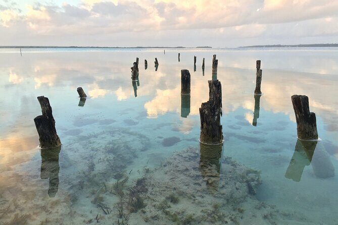 Private Transfer from La Paz to Cabo San Lucas - Private Transfer from La Paz to Cabo San Lucas: An Honest Review