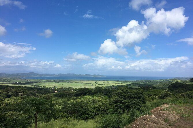 Private Transfer from Liberia Airport to Dreams Las Mareas - An In-Depth Look at the Liberia to Dreams Las Mareas Transfer