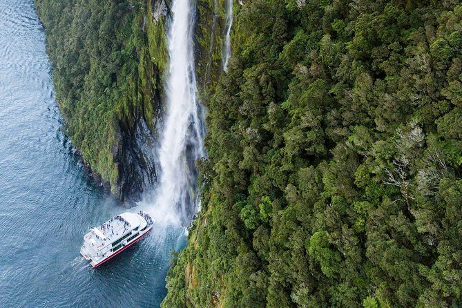 Private Transfer from Milford Port to Queenstown Airport (ZQN) - The Sum Up