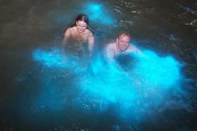 Private Transfer from Montego Bay to Dunns River Falls - Who Should Consider This Tour