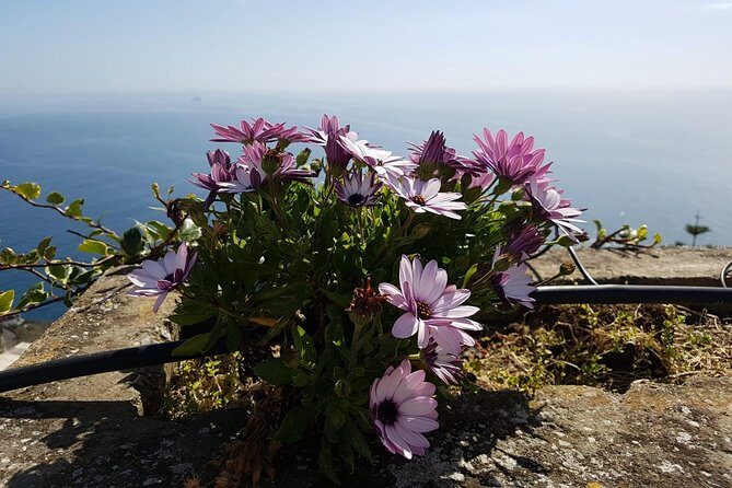 Private Transfer from Naples to Positano - A Detailed Breakdown of What to Expect
