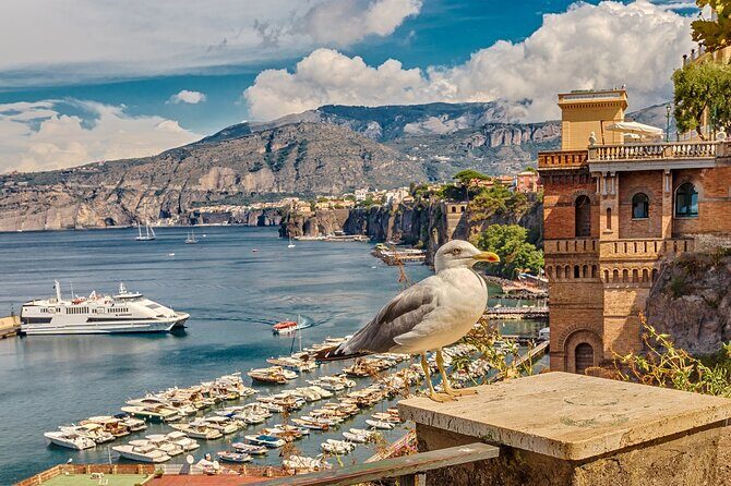 Private transfer from Naples to Sorrento - What Makes This Transfer Stand Out