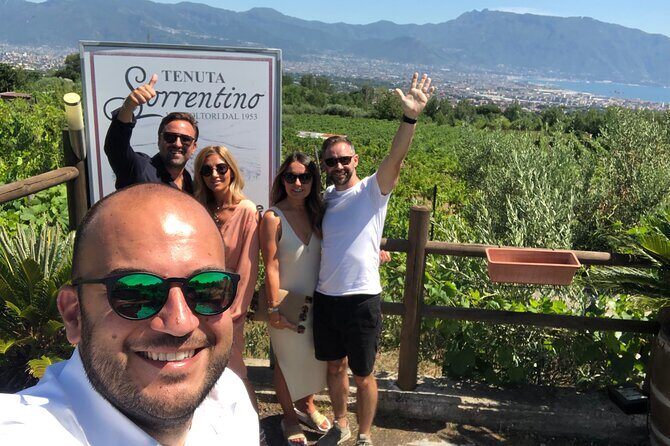Private Transfer from Naples to Sorrento or Vice Versa - Key Points