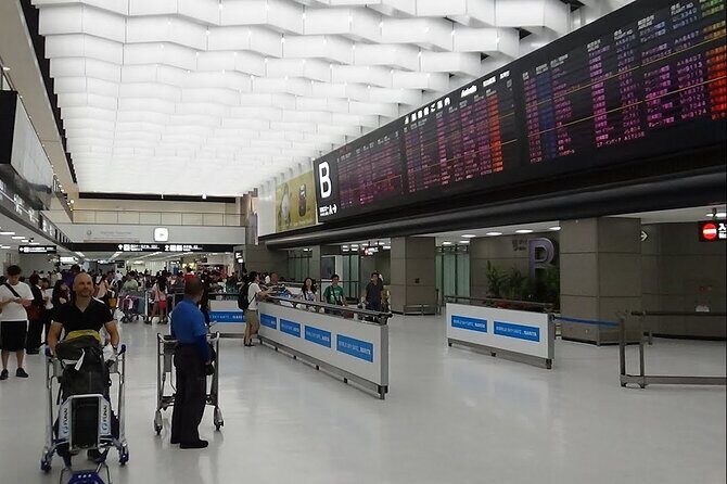 Private Transfer from Narita Airport to Prince Hachi City Japan - Key Points