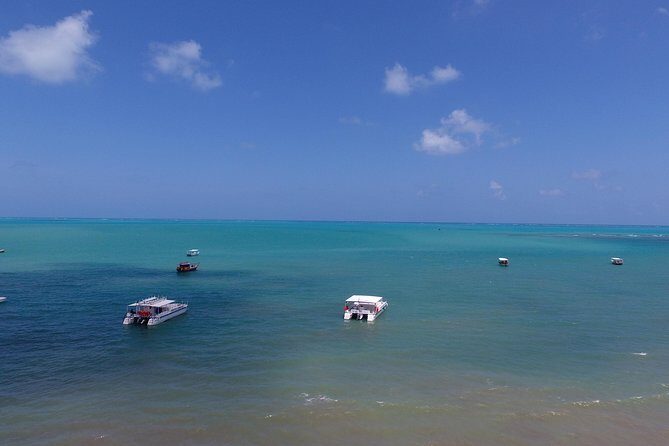 Private Transfer from Recife Airport to Maragogi - Deep Dive into the Maragogi Experience