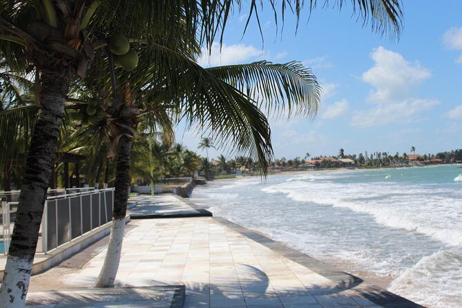 Private Transfer from Recife Airport to Serrambi By RECIFE TRANSLADO - The Itinerary in Detail