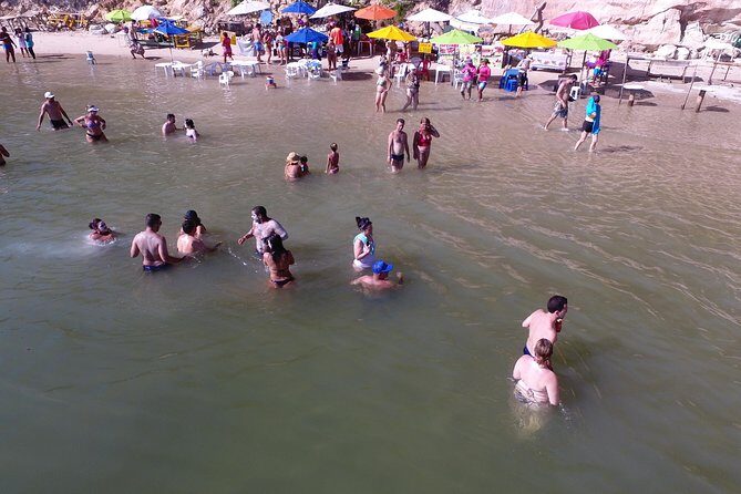 Private Transfer from Recife Airport to Tamandaré - Key Points