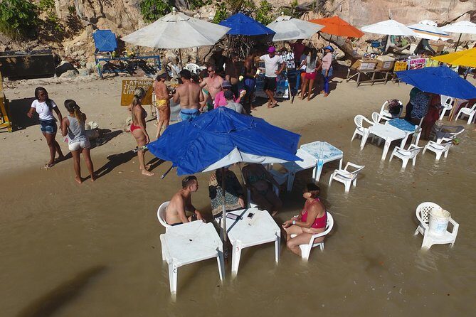 Private Transfer from Recife Airport to Tamandaré - Final Thoughts: Is This Transfer Right for You?