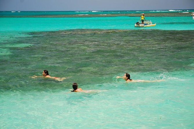 Private Transfer from Recife to Maragogi 01 to 06 Pax by Geotur Receptives - Key Points