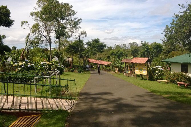 Private Transfer from San Jose downtown to Liberia Airport - A Detailed Look at the Transfer Experience