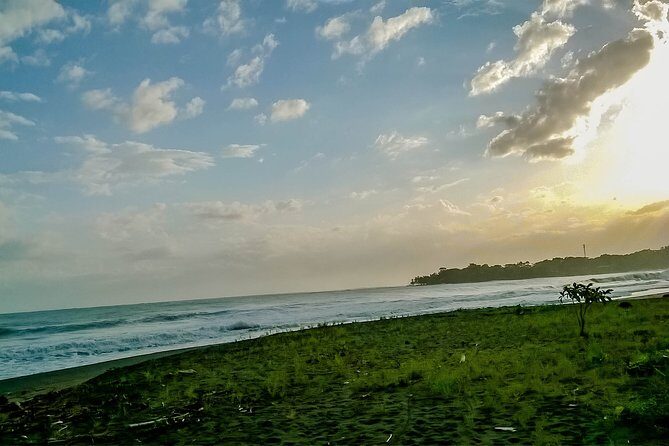 Private Transfer from San Jose to Puerto Viejo, Talamanca, Limon - A Comfortable Ride from San Jose to Puerto Viejo: What You Need to Know