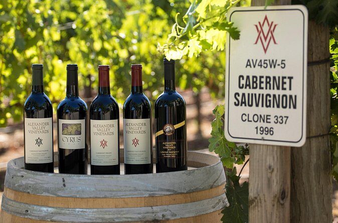 Private transfer from SFO to Sonoma - The Sum Up: Is This the Right Choice for You?