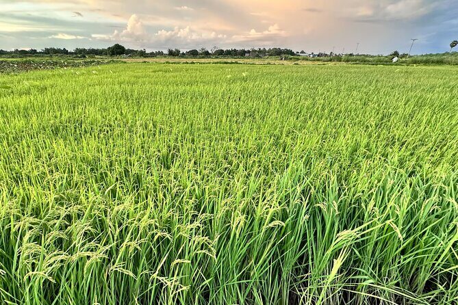 Private Transfer From Siem Reap Airport to Hotel - FAQ