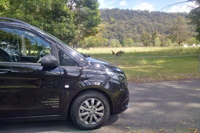 Private Transfer FROM Sydney CBD to Sydney Airport 1 to 5 people - FAQ