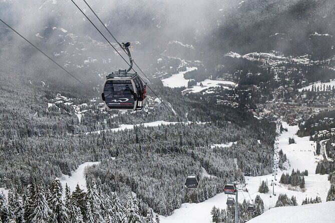 Private Transfer from Vancouver Airport (YVR) - Whistler - Who Should Consider This Service?