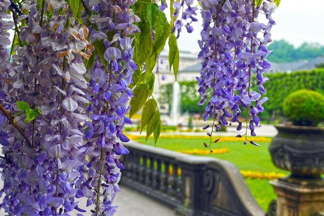 Private transfer from Vienna to Salzburg with 3h Sightseeing stop in Hallstatt - A Scenic Journey Connecting Vienna, Hallstatt, and Salzburg