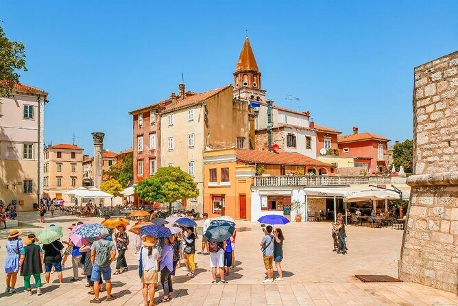 Private Transfer from Zadar Airport to Zadar - Vehicle Options and Comfort