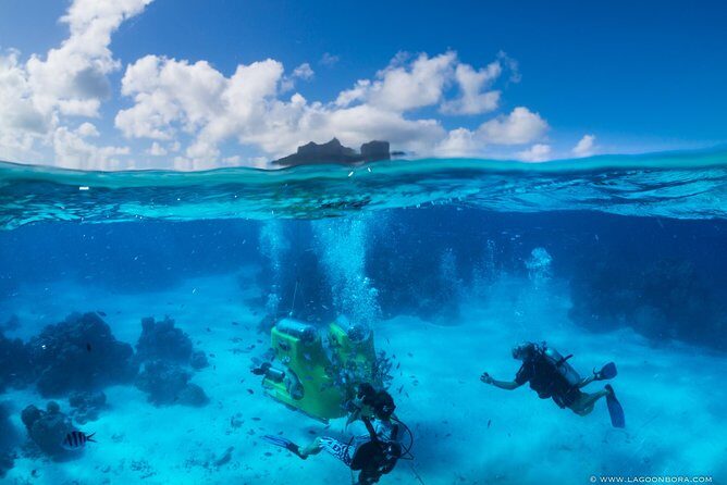 Private Transfer in Bora Bora from East Area - Key Points