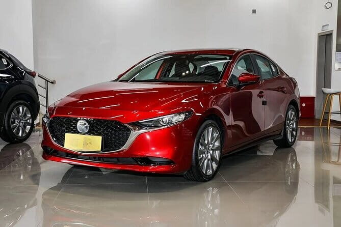 Private Transfer in Shenzhen with English Service - Who Is This Service Best Suited For?