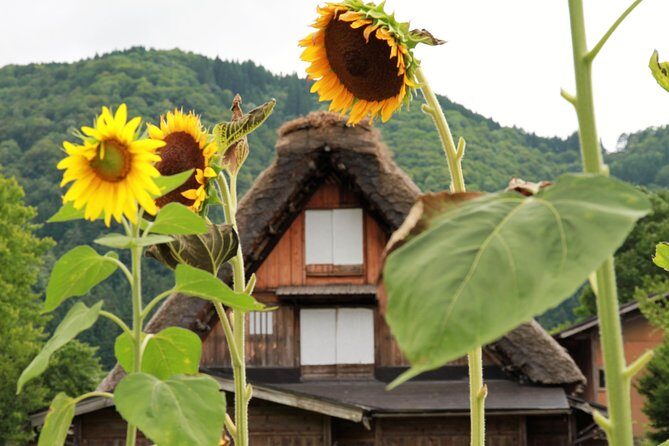 Private transfer Kanazawa to Takayama Including Shirakawago - Key Points