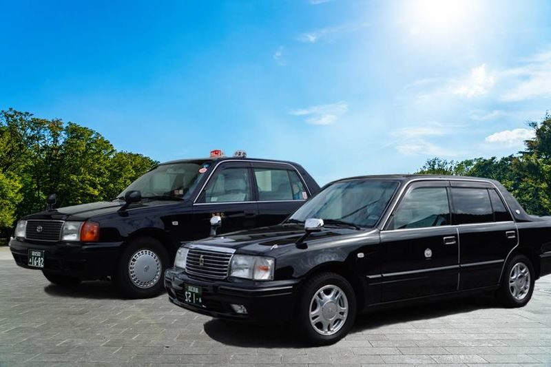 Private Transfer Kochi Ryoma Airport - Choosing the right taxi for people and bags