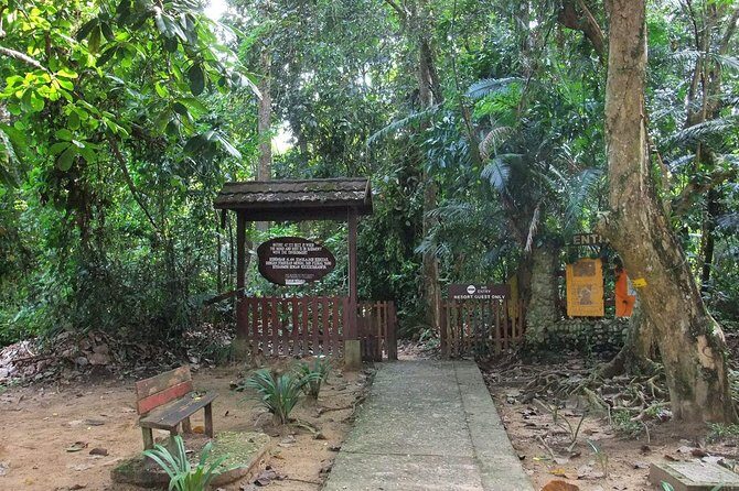 Private Transfer: Kuala Lumpur to Taman Negara National Park (Kuala Tahan Jetty) - The Sum Up: Is This Transfer Right for You?