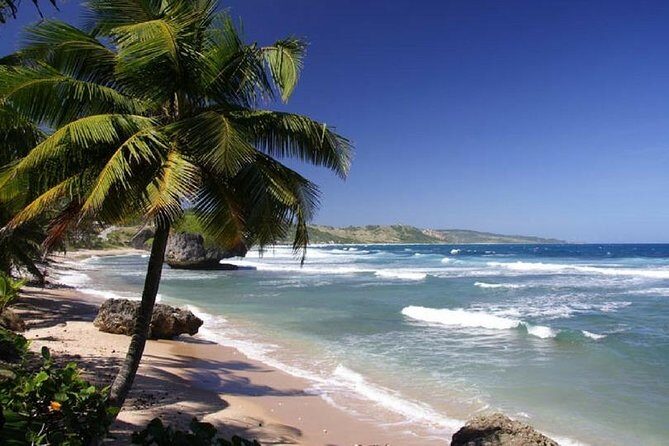 Private Transfer: Liberia Airport To Tamarindo Guanacaste - Key Points