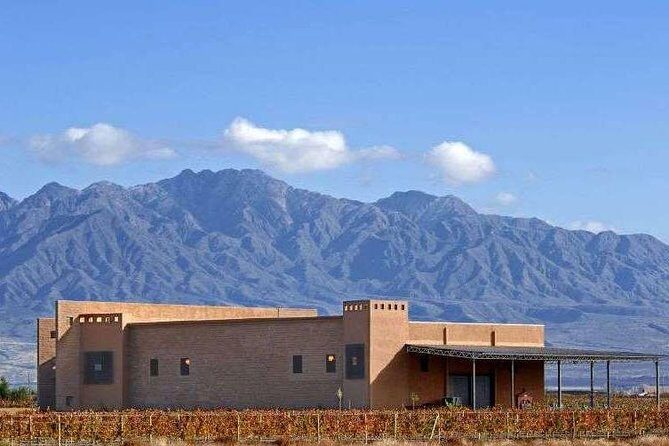 Private Transfer + Lujan de Cuyo Vinicolas / Maipu - A Detailed Look at the Mendoza Private Tour
