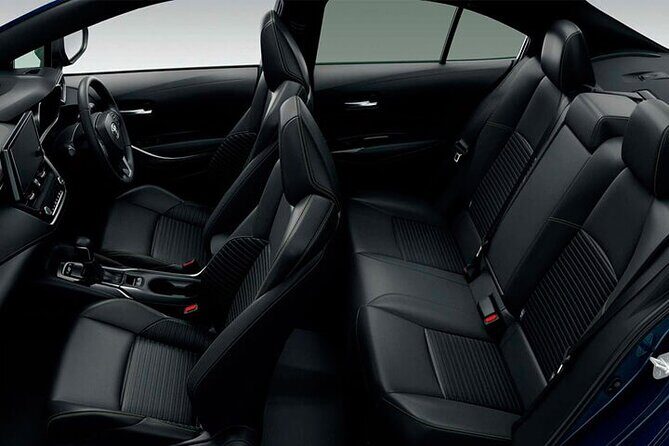 Private Transfer Mendoza Airport MDZ to Mendoza by Car or Minibus - Key Points