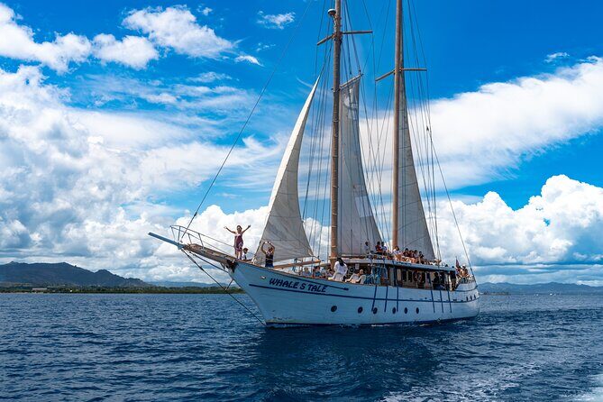 Private Transfer: Nadi Airport to Coral Coast - 1 to 4 Seat Vehicle - Who This Transfer Is Best For
