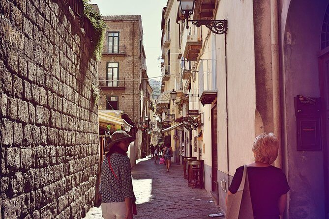 Private Transfer: Naples to Sorrento, 2h in Vesuvius or Pompeii - Final Thoughts