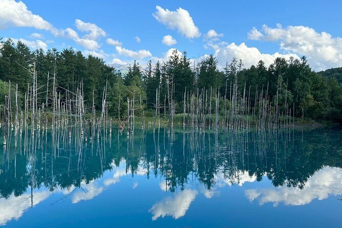 Private Transfer New Chitose Airport to Hokkaido Attractions - Quick Overview