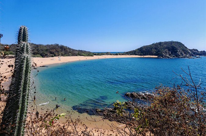 Private Transfer Oaxaca Centro and Mazunte or San Agustinillo - Frequently Asked Questions