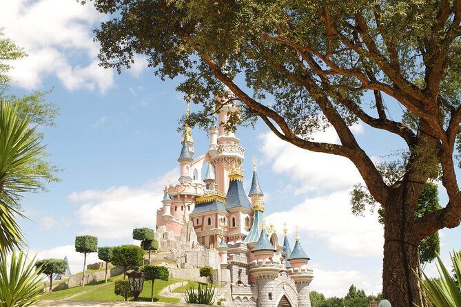 Private Transfer: Paris to Disneyland Park or Hotel by Luxury Van - Private Transfer from Paris to Disneyland Paris in Style