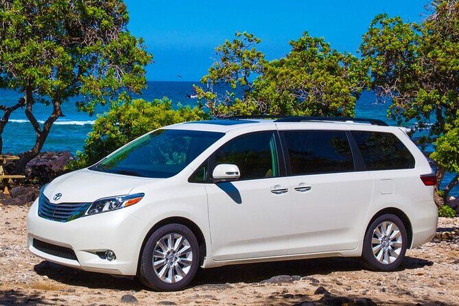 Private Transfer Punta Cana Airport to/from Excellence El Carmen - Who Should Book This Transfer?