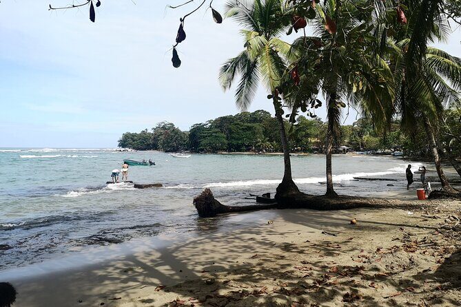 Private Transfer: San José Airport to Puerto Viejo / Cahuita - FAQ: Your Practical Questions Answered