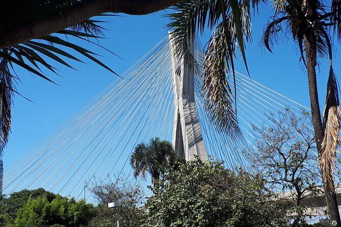 Private Transfer São Paulo Airport to Hotels with Quick City Tour - Final Thoughts: Who Is This Tour For?