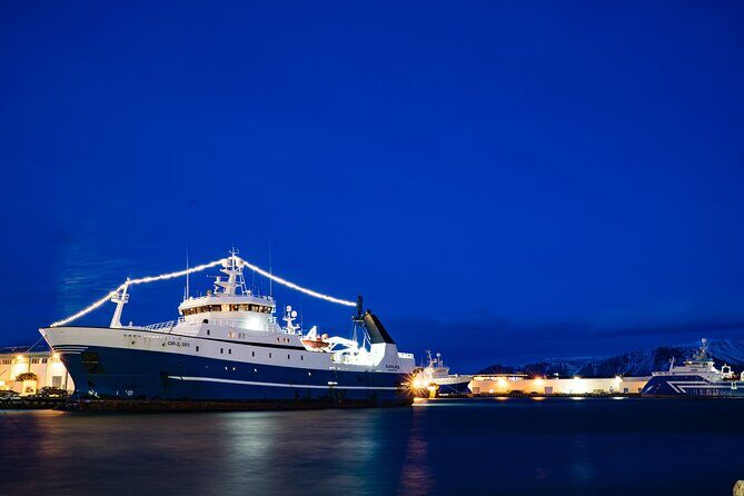 Private Transfer Service from Hotels in Reykjavik to Cruise Ship Terminal - A Walk-Through of the Transfer Experience