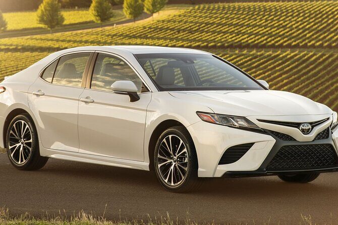 Private Transfer Service from Seoul City Hotels to Gimpo Airport - Who Is This Transfer Best For?