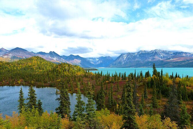 Private Transfer, Seward Cruise ship to Anchorage - Practical Details and Tips