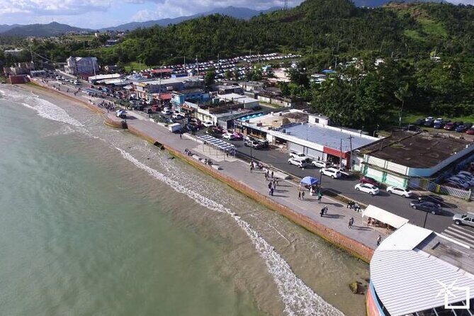 Private Transfer: SJU Airport or Port to Humacao and Nagüabo - Detailed Review of the Private Transfer Experience