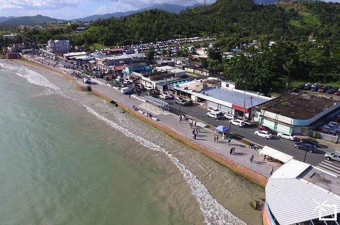 Private Transfer: SJU Airport or Port to Humacao and Nagüabo - Who Should Book This Transfer?