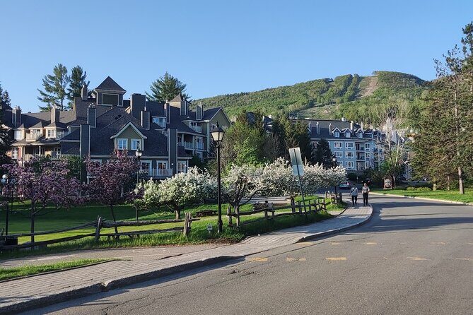 Private Transfer To Mont Tremblant From Montreal YUL Airport - Price and Value Analysis