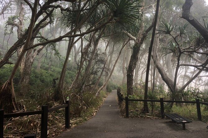 Private Transfer to or from Sunshine Coast Airport (MCY) - Why You Should Consider This Transfer