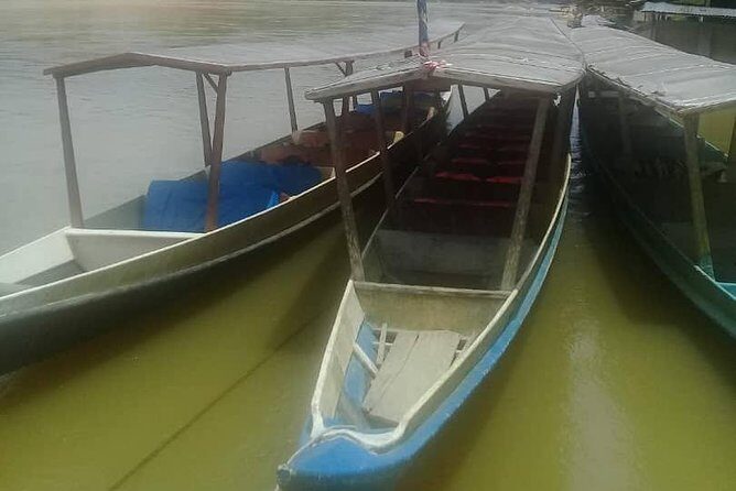 Private Transfer to Taman Negara from Kuala Lumpur - Organizing Activities: What’s Possible?