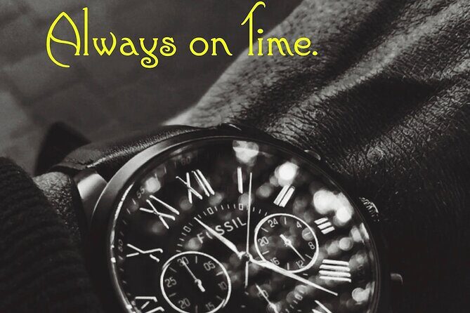 Private Transfer: Toronto Pearson Airport or Richmond Hill Black Car Service - Who Is This Service Best For?